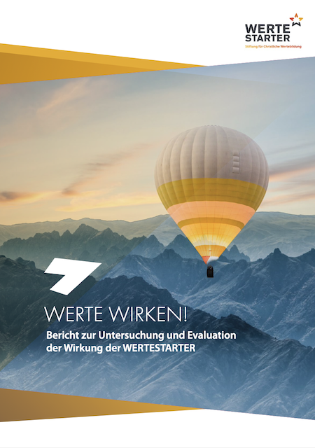 Web Wirkunsanalyse